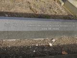 image of grave number 196520